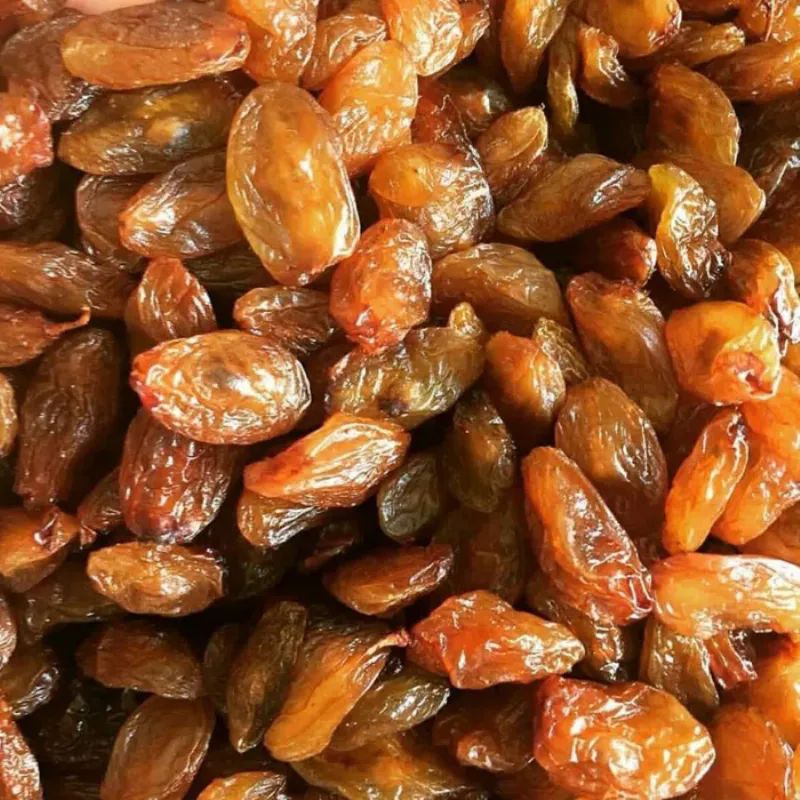 1.-sinif-besni-uzumu